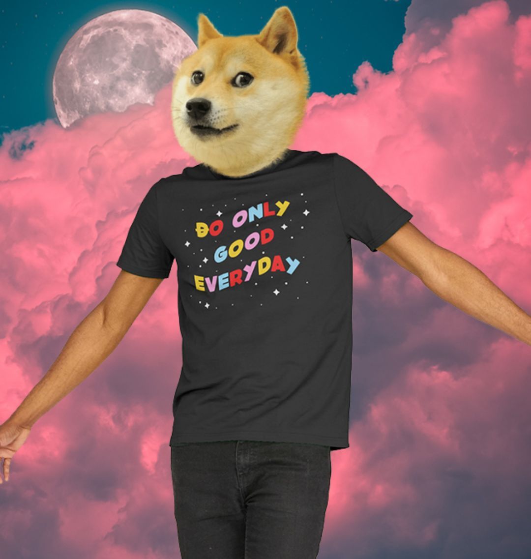 Doge Universe T-shirt