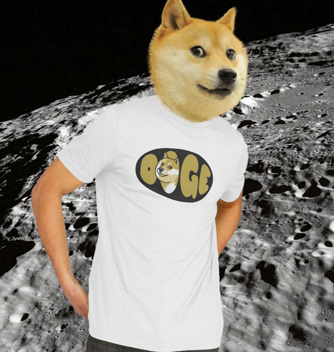Doge T-shirt